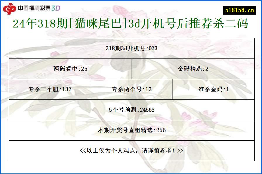 24年318期[猫咪尾巴]3d开机号后推荐杀二码