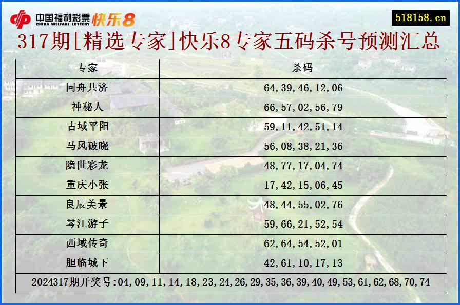 317期[精选专家]快乐8专家五码杀号预测汇总