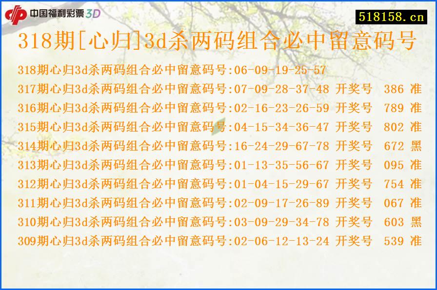 318期[心归]3d杀两码组合必中留意码号