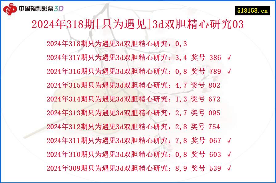 2024年318期[只为遇见]3d双胆精心研究03