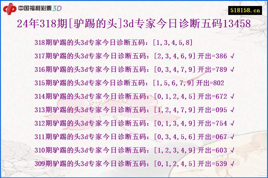 24年318期[驴踢的头]3d专家今日诊断五码13458