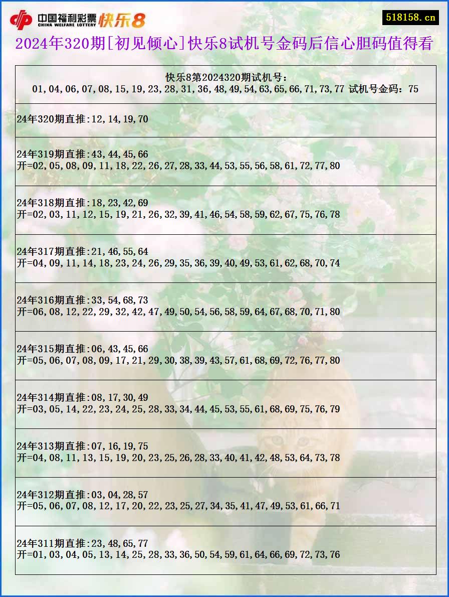 2024年320期[初见倾心]快乐8试机号金码后信心胆码值得看