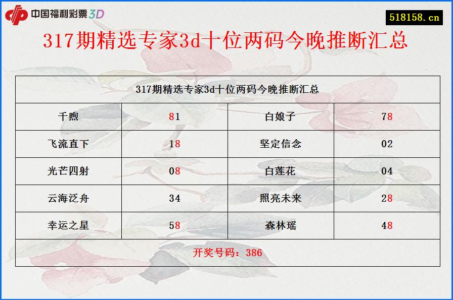 317期精选专家3d十位两码今晚推断汇总