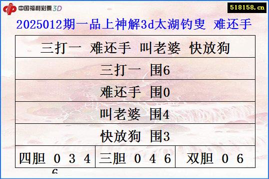 2025012期一品上神解3d太湖钓叟 难还手