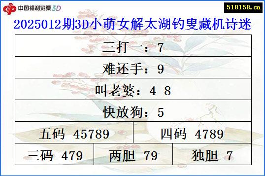 2025012期3D小萌女解太湖钓叟藏机诗迷