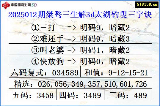 2025012期桀骜三生解3d太湖钓叟三字诀