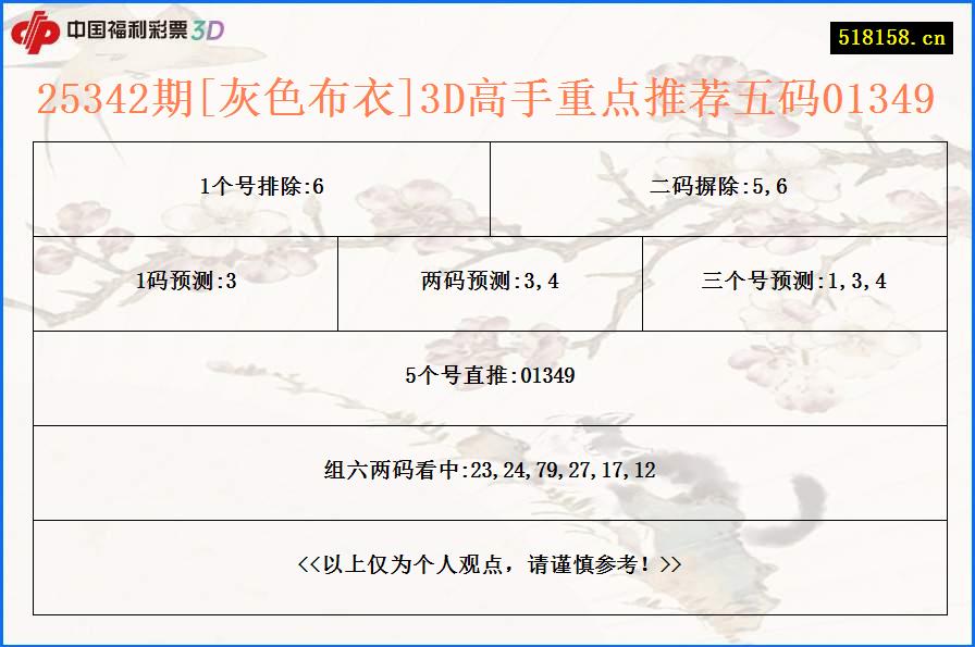 25342期[灰色布衣]3D高手重点推荐五码01349