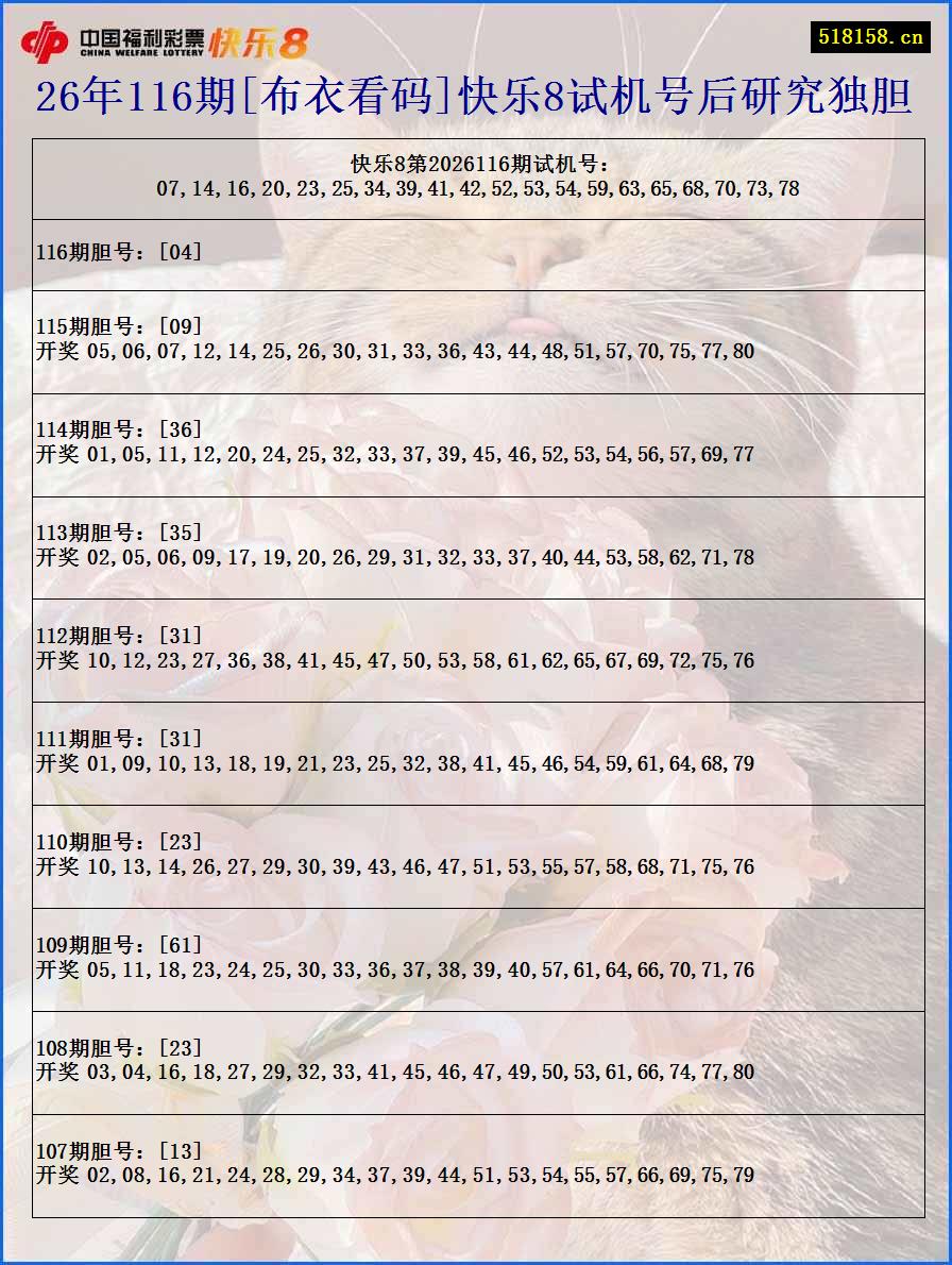 26年116期[布衣看码]快乐8试机号后研究独胆